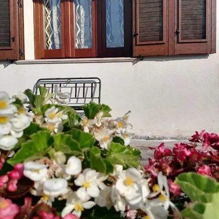 فيلة Villalory سبيكيا